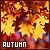  Season: Autumn/Fall