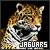  Cats: Jaguars