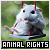  Animal Rights