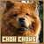  Dogs: Chow Chows