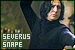 Harry Potter: Severus Snape