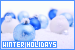 Winter Holidays