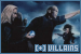 Harry Potter: Villains