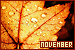 Months: November