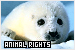 Animal Rights