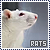  Rats